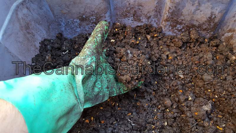 Finished compost, ready for use.