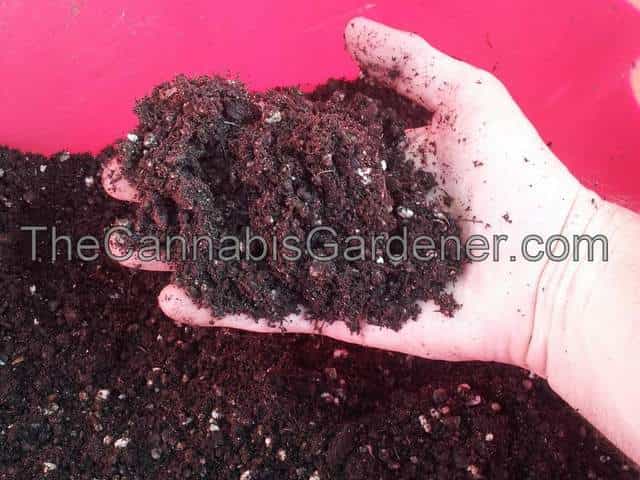 Homemade organic soil ready to use